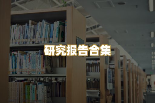 研究报告合集